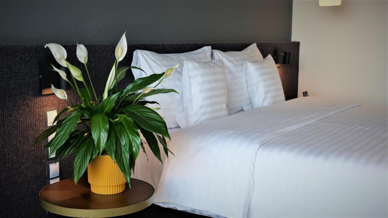 Werk Hotel & Spa Hunedoara Dış mekan fotoğraf